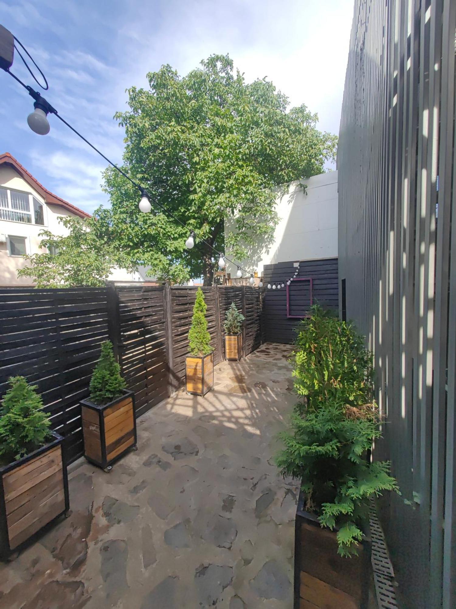 布拉索夫 Casa Anne Boutique酒店 外观 照片