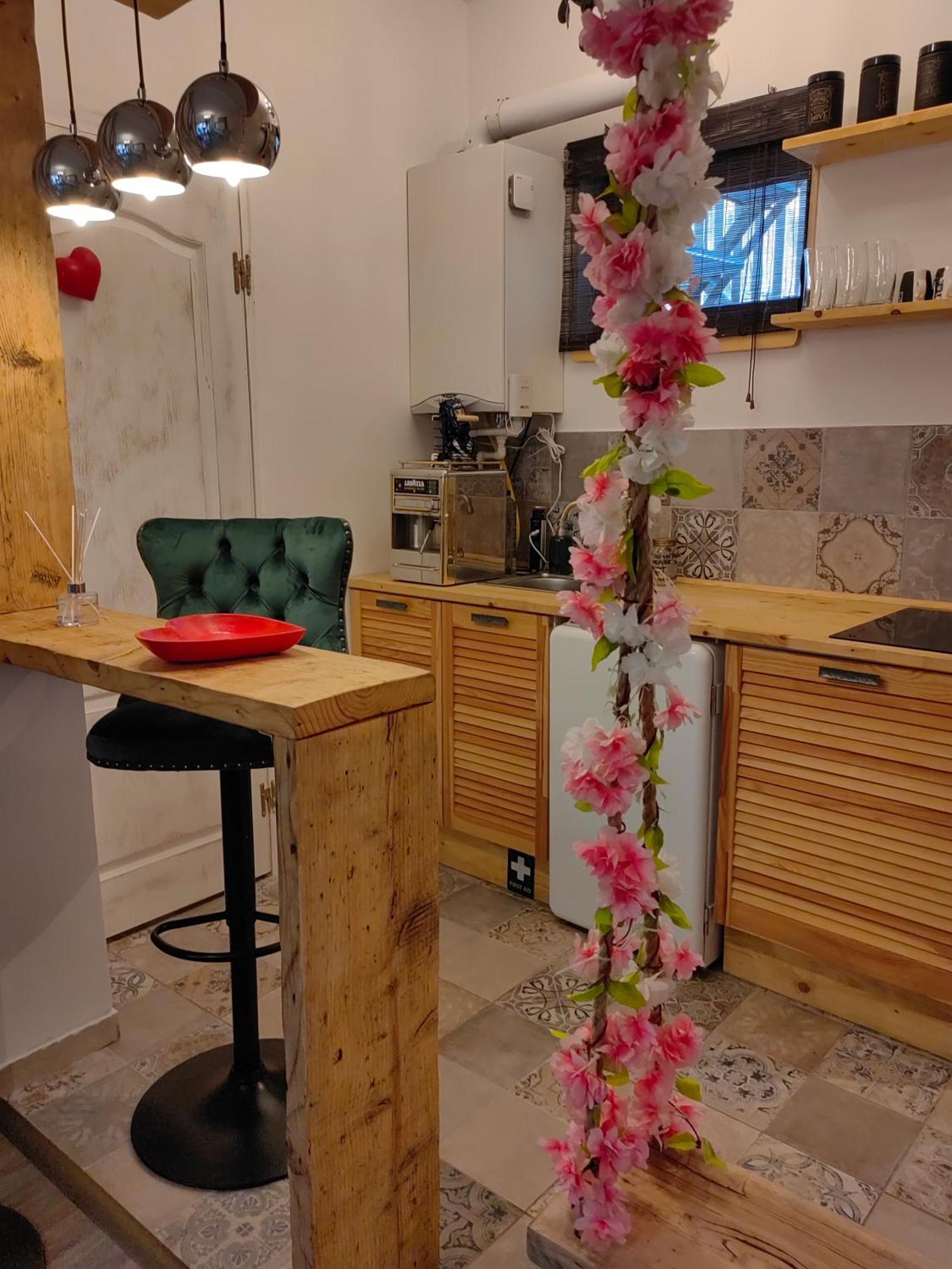 布拉索夫 Casa Anne Boutique酒店 外观 照片