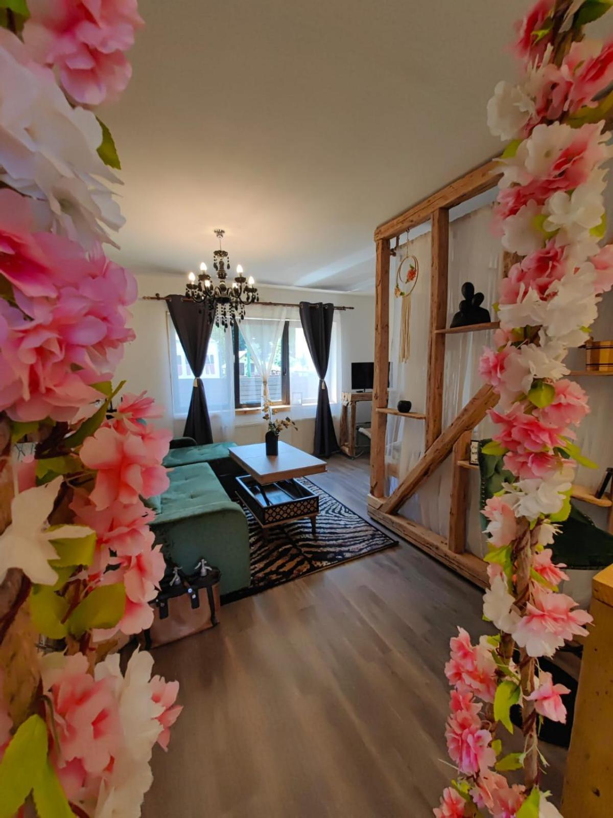 布拉索夫 Casa Anne Boutique酒店 外观 照片